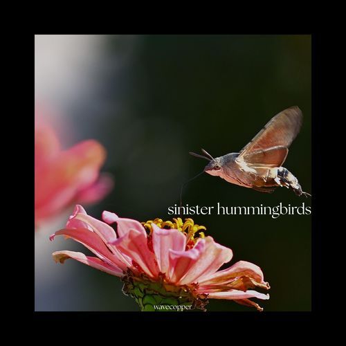 Countdown (Curtains)