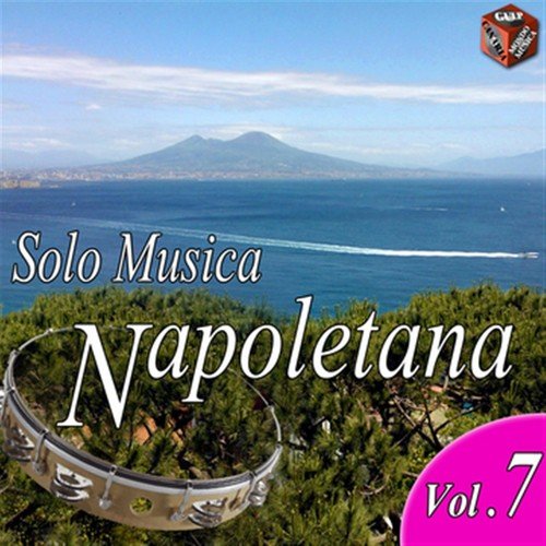 Solo musica napoletana, Vol. 7