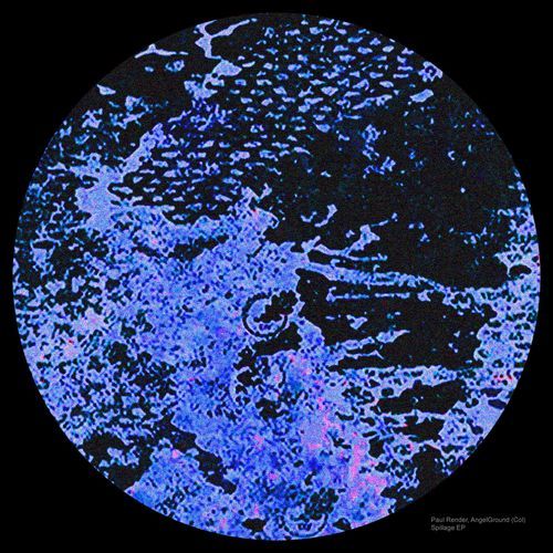 Descriptive cover art
