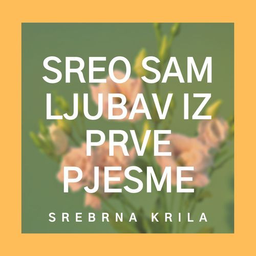 Sreo sam ljubav iz prve pjesme