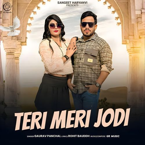 Teri Meri Jodi_poster_image