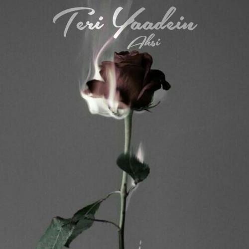 Teri Yaadein