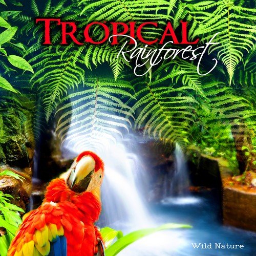 Exotic Birds Sounds cover art