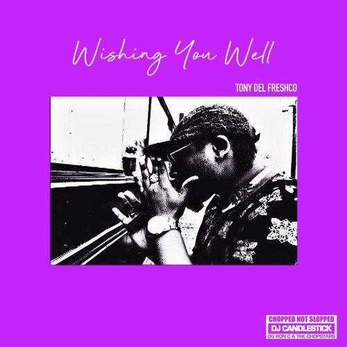 Wishing You Well (ChopNotSlop Remix)