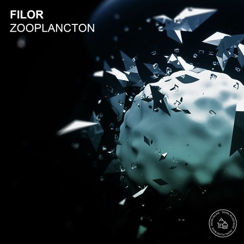 Zooplancton