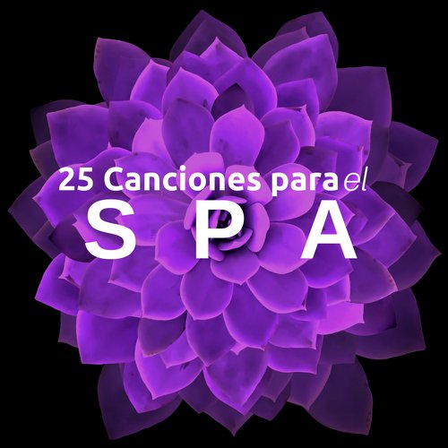 Música para Relajarse