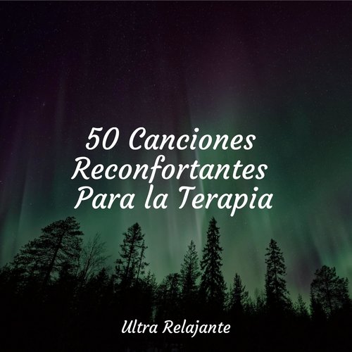 50 Canciones Reconfortantes Para la Terapia