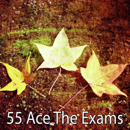55 Ace the Exams