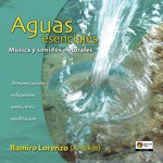 Arroyos