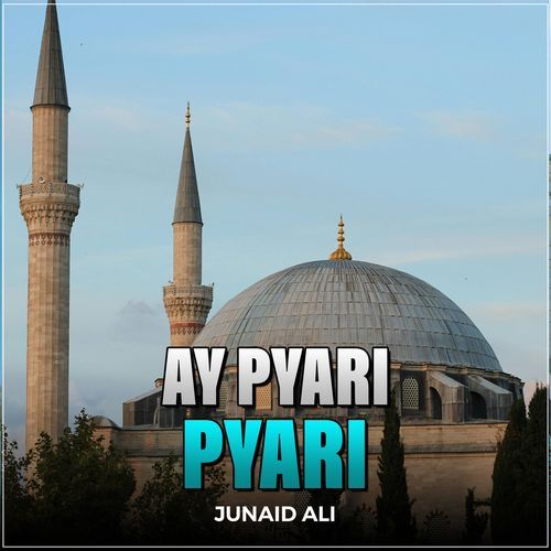 Ay Pyari Pyari