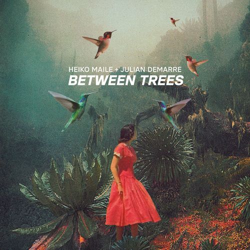 Between Trees_poster_image