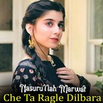 Che Ta Ragle Dilbara