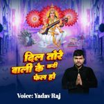 Dil Tore Wali Ke Kadi Fel Ho