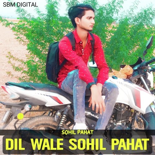 Dil Wale Sohil Pahat