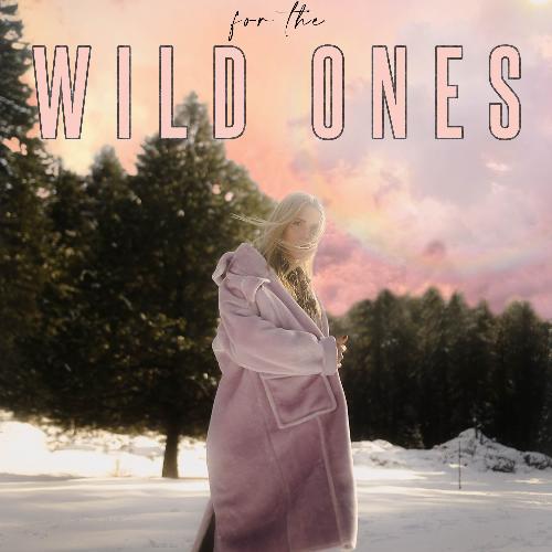 For the Wild Ones_poster_image