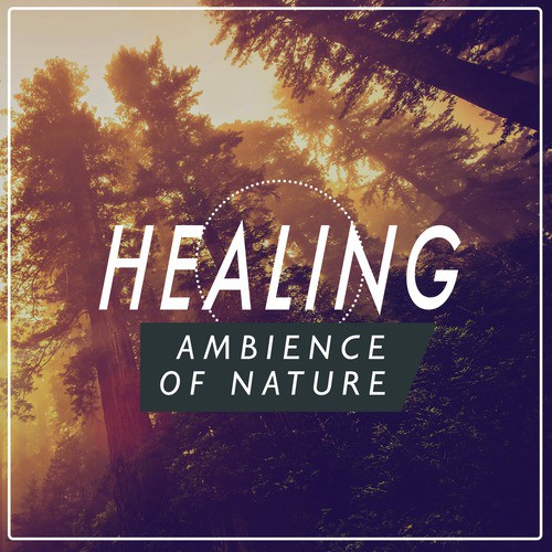 Healing Ambience of Nature_poster_image