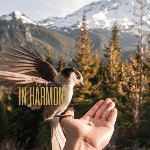 In Harmony_poster_image