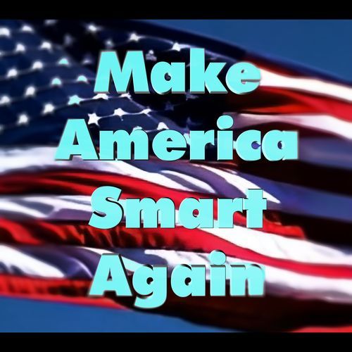 Make America Smart Again_poster_image