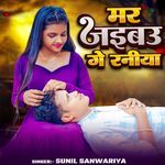 Mar jaibau ge raniya