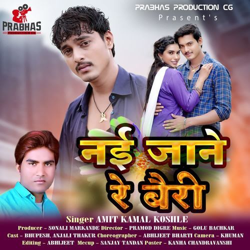 Nai Jane Re Bairi