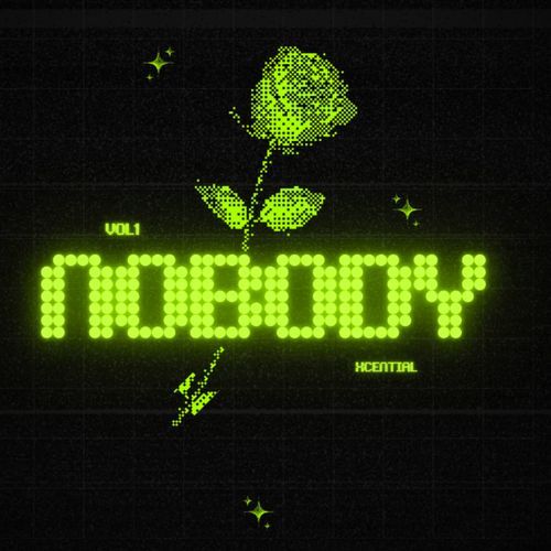 Nobody cover art