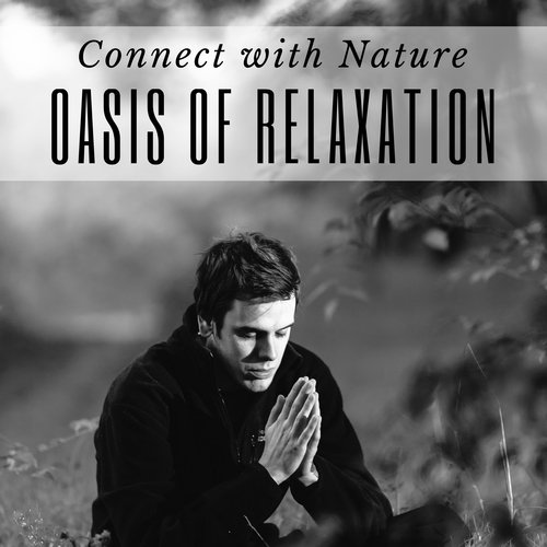 Oasis of Relaxation: Sounds of Nature, Buddhist Meditation, Connect with Nature