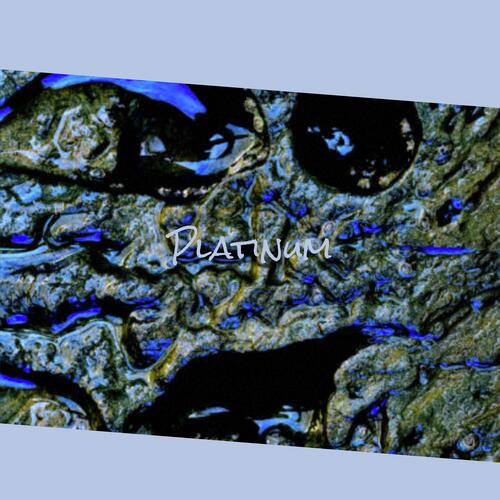 Visite cover art