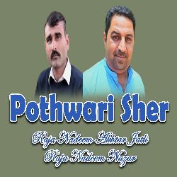 Pothwari Sher-NV5fZzIDQWU