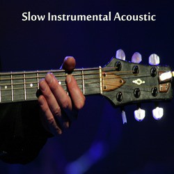 Acoustic Guitar Tribute Players