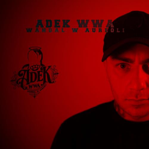 Niedosyt cover art