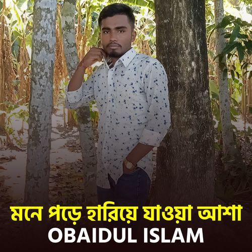 mone pore hariye jawya asha