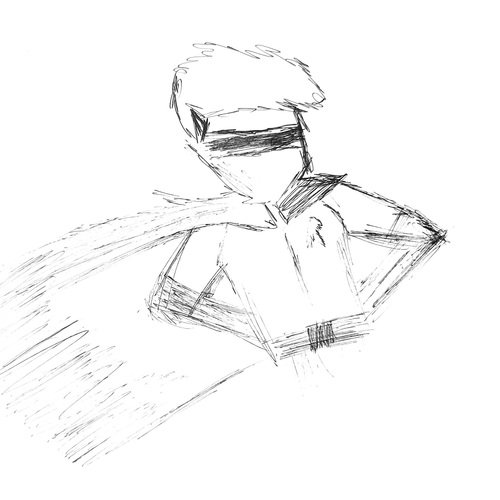 robin cover art