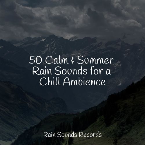 50 Calm & Summer Rain Sounds for a Chill Ambience_poster_image