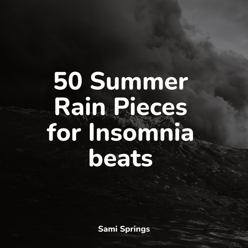 50 Summer Rain Pieces for Insomnia beats_poster_image