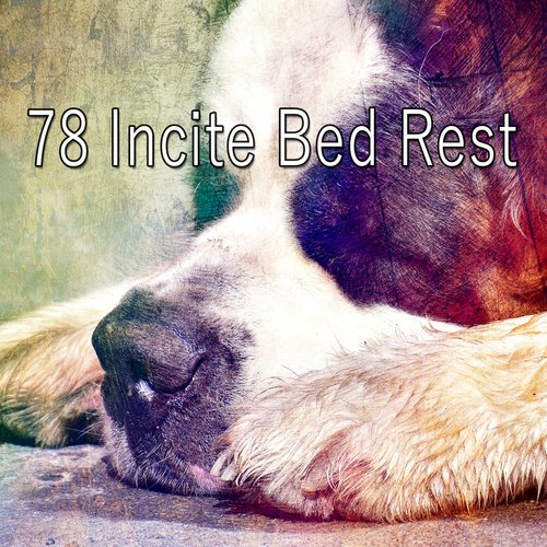 78 Incite Bed Rest_poster_image