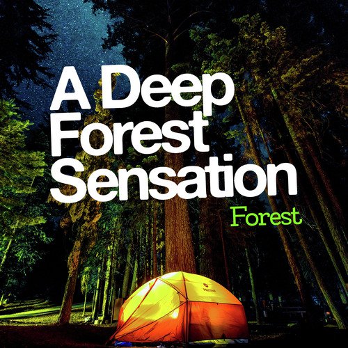 A Deep Forest Sensation