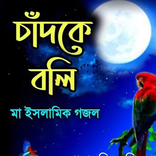 Ami Chand Ke Boli (Radio Edit)_poster_image