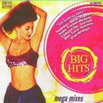 Chadh Gayo Papi Bichhua (Remix)