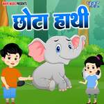 Chhota Hathi