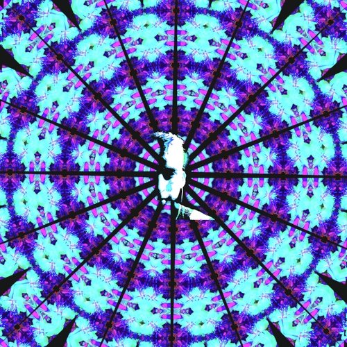 Coherency cover art