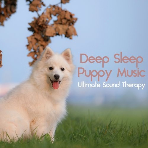 Puppy Sounds