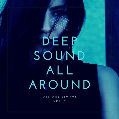 Shake It (Reig & Weeler Remix)