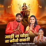 Gadi Na Ghoda Na Kawano Sawari