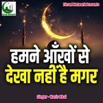 Humne Aankhon Se Dekha Nahi Hai Magar