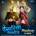 Kesariyo Parnije Mashup DJ Remix