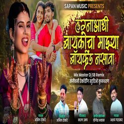 Lagnaadhi Baykocha Majhya Boyfriend Nasava