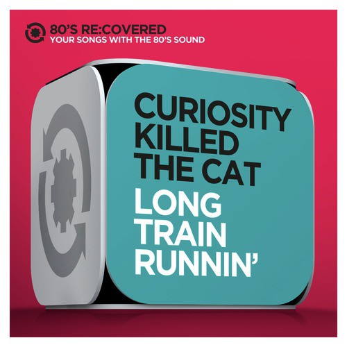 Curiosity Killed The Cat