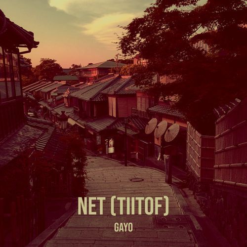 NET (TIITOF)