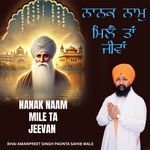 Nanak Naam Mile Ta Jeevan