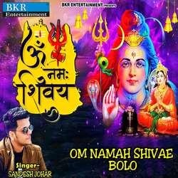 Om Namah Shivae Bolo-CjJYRwdoTkU